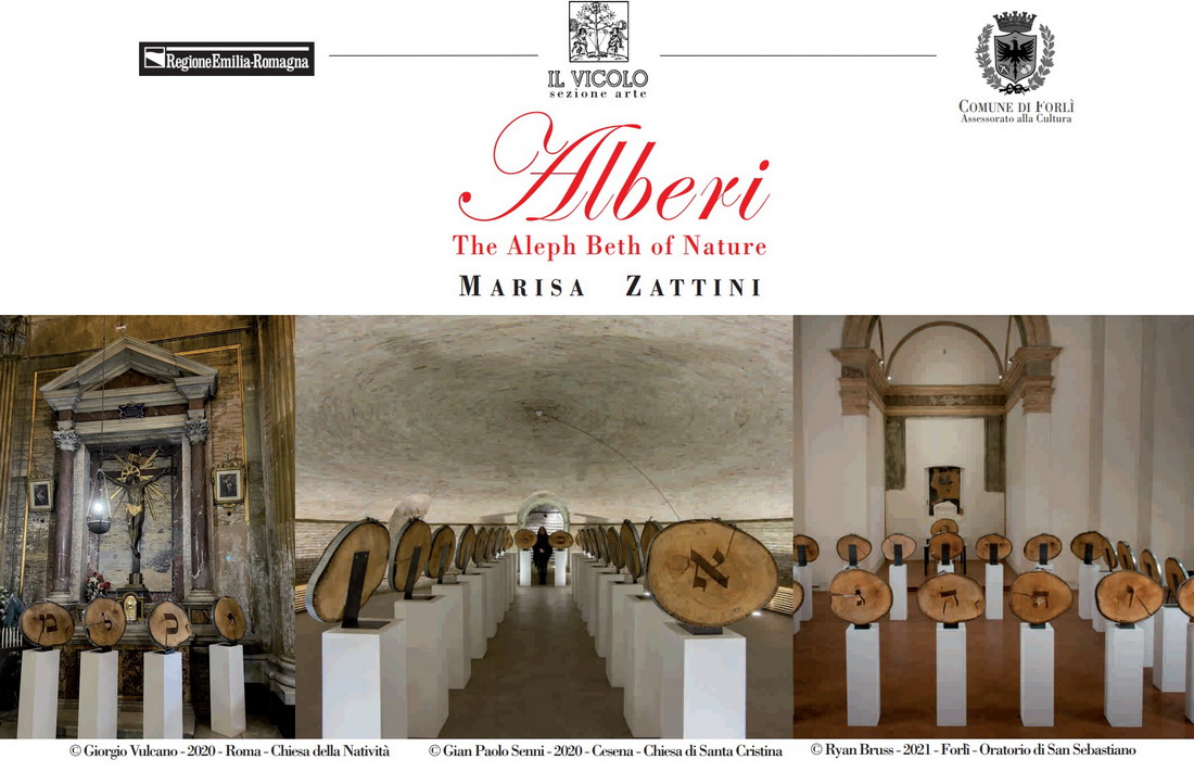 "Alberi - The Aleph Beth of Nature" di Marisa Zattini a Forlì